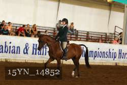15YN_14852 thumbnail