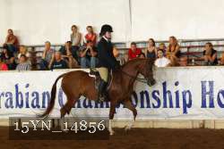 15YN_14856 thumbnail
