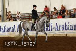 15YN_15197 thumbnail