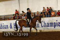 15YN_15199 thumbnail