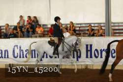 15YN_15200 thumbnail