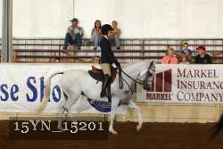 15YN_15201 thumbnail