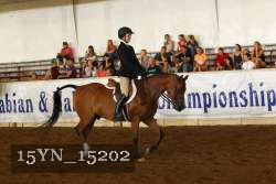 15YN_15202 thumbnail