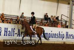 15YN_15203 thumbnail