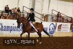 15YN_15204 thumbnail
