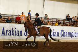 15YN_15207 thumbnail