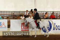 15YN_22701 thumbnail