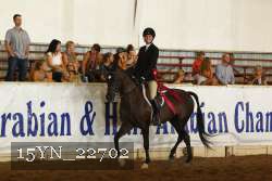 15YN_22702 thumbnail