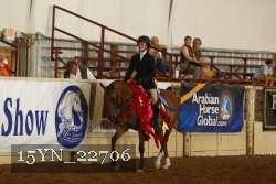 15YN_22706 thumbnail