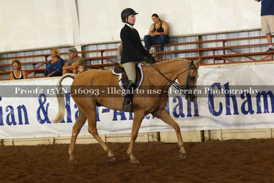 Proof Number 15YN_16093