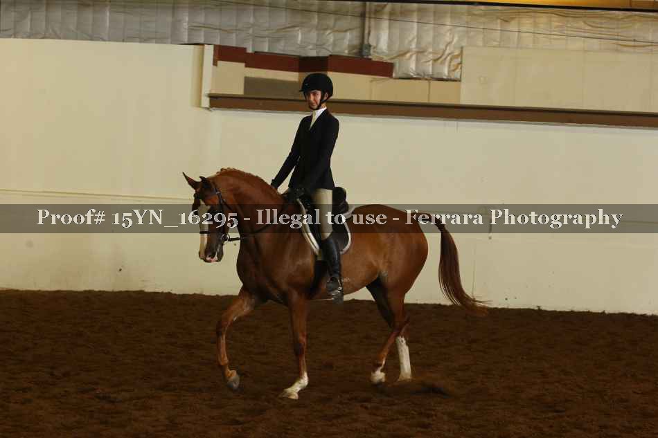 Proof Number 15YN_16295