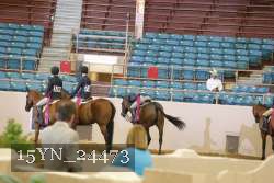 15YN_24473 thumbnail