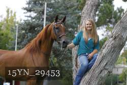 15YN_29453 thumbnail