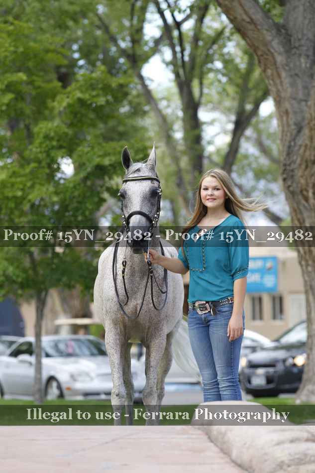 Proof Number 15YN_29482