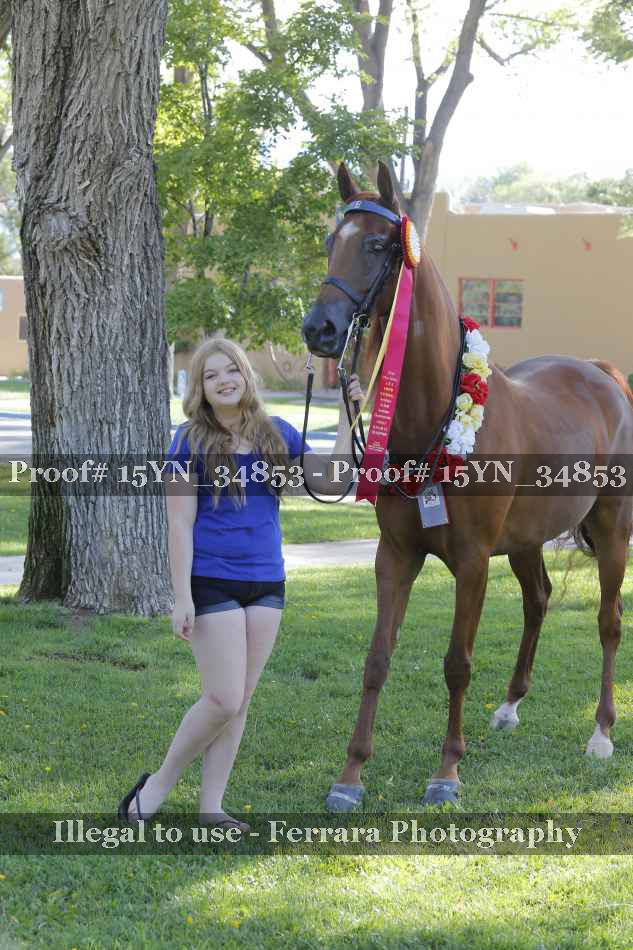 Proof Number 15YN_34853