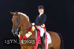 15YN_15625 thumbnail