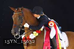 15YN_15632 thumbnail