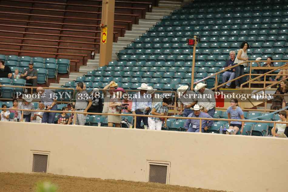 Proof Number 15YN_33481