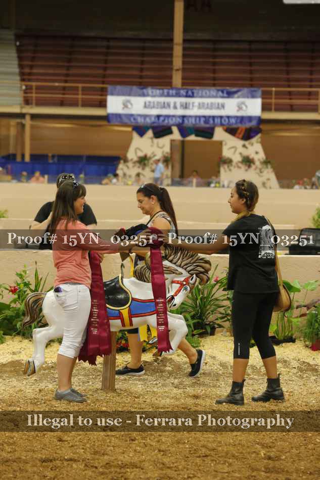 Proof Number 15YN_03251