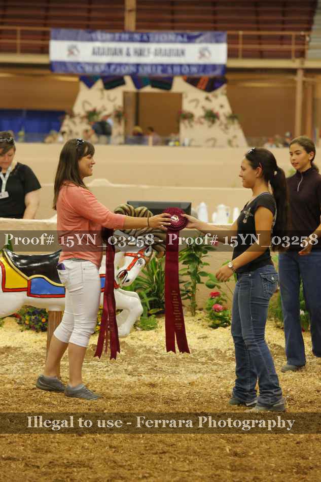 Proof Number 15YN_03258