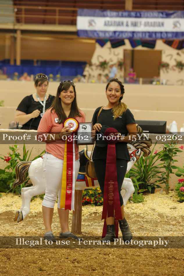 Proof Number 15YN_03262