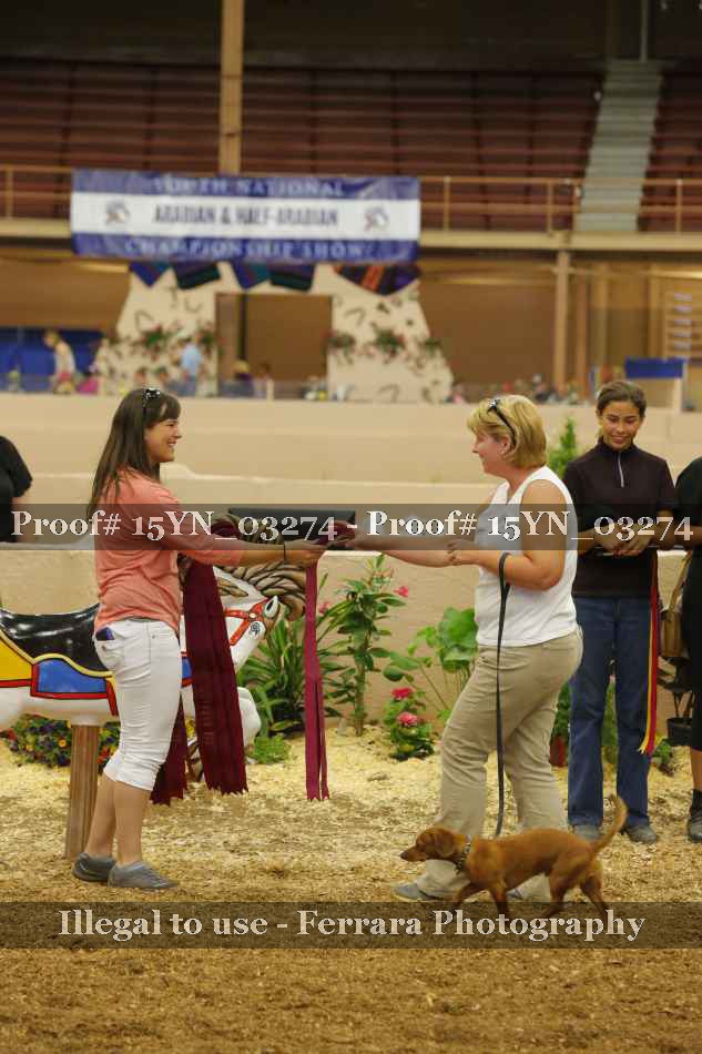 Proof Number 15YN_03274