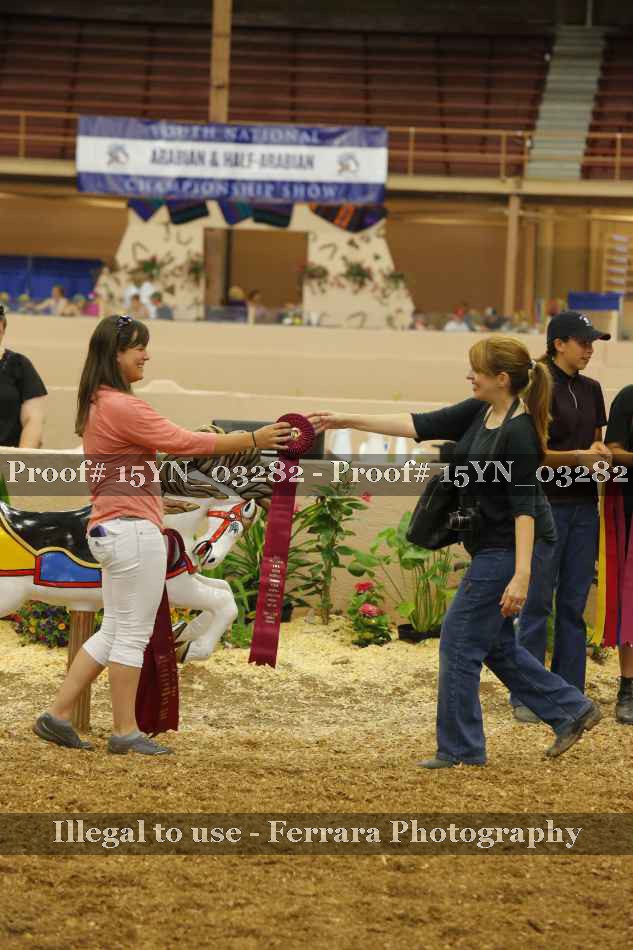 Proof Number 15YN_03282