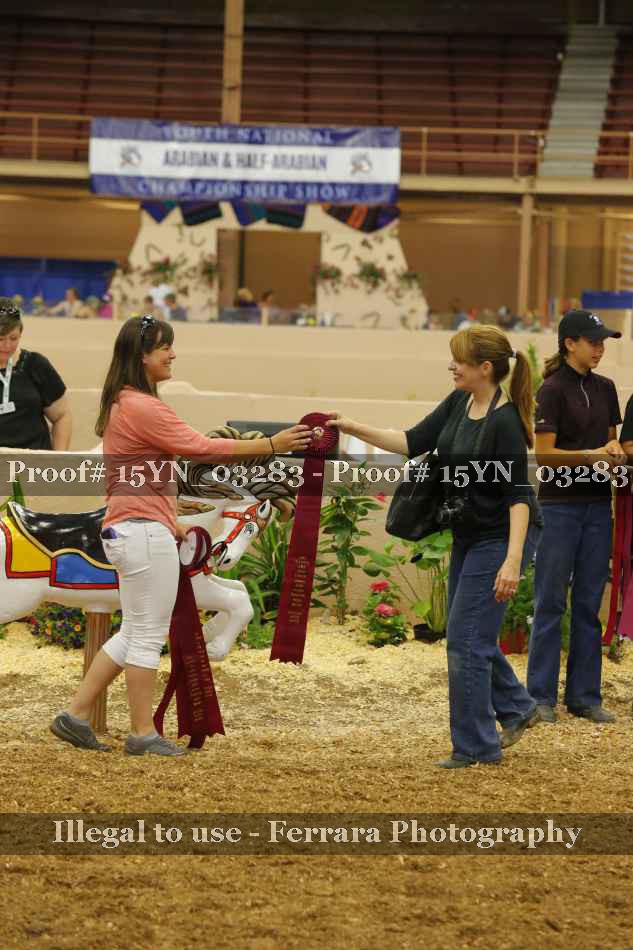 Proof Number 15YN_03283