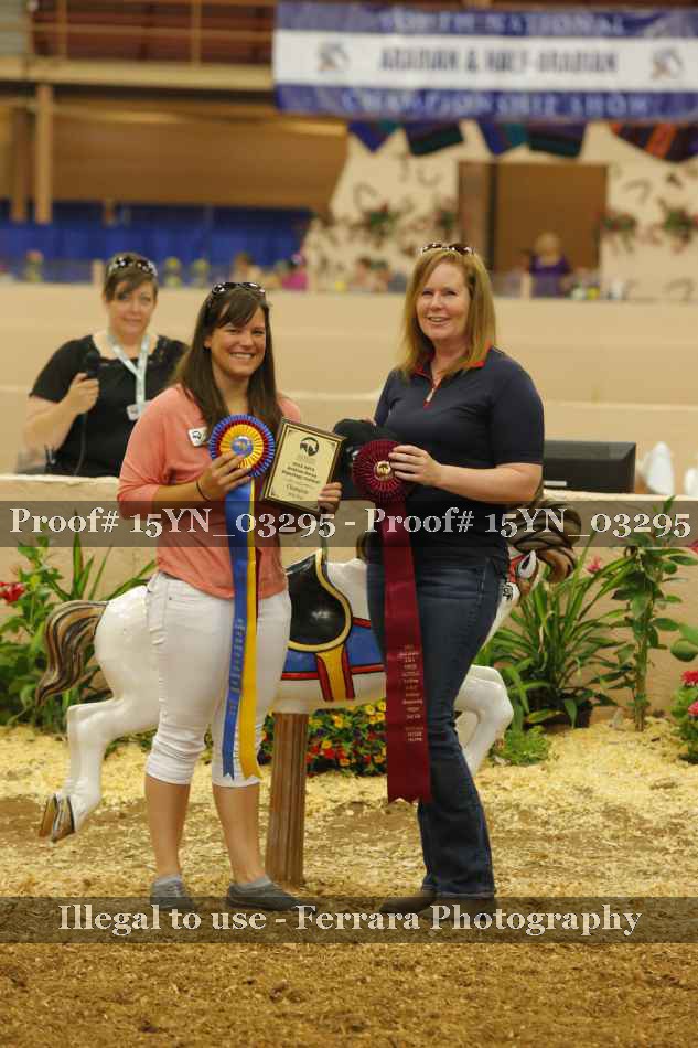 Proof Number 15YN_03295