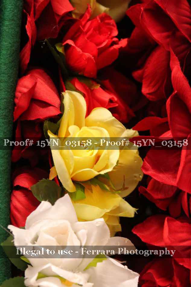 Proof Number 15YN_03158