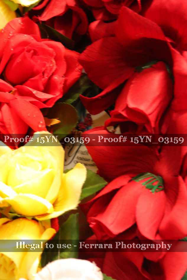 Proof Number 15YN_03159