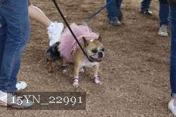 15YN_22991 thumbnail