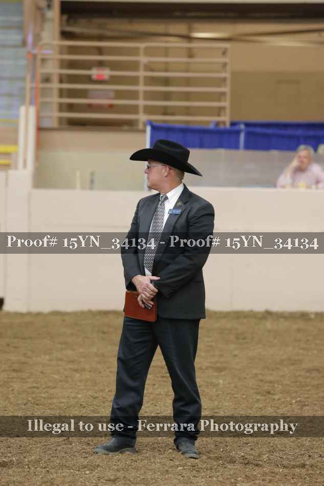 Proof Number 15YN_34134