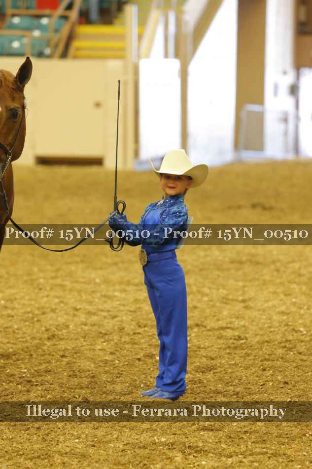 Proof Number 15YN_00510