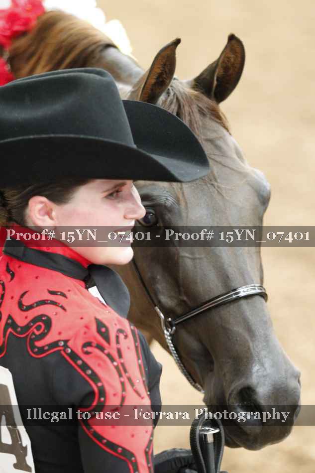 Proof Number 15YN_07401