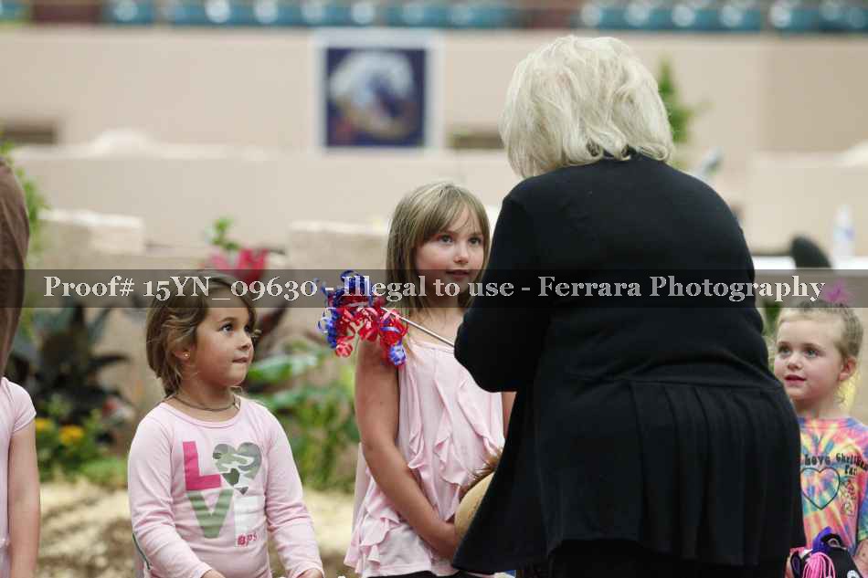 Proof Number 15YN_09630