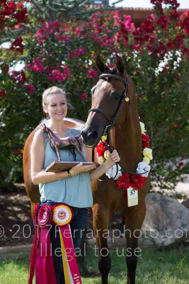 Proof Number 17YN_2505