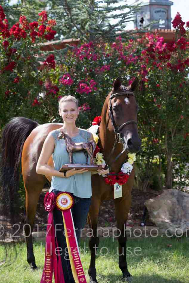 Proof Number 17YN_2508