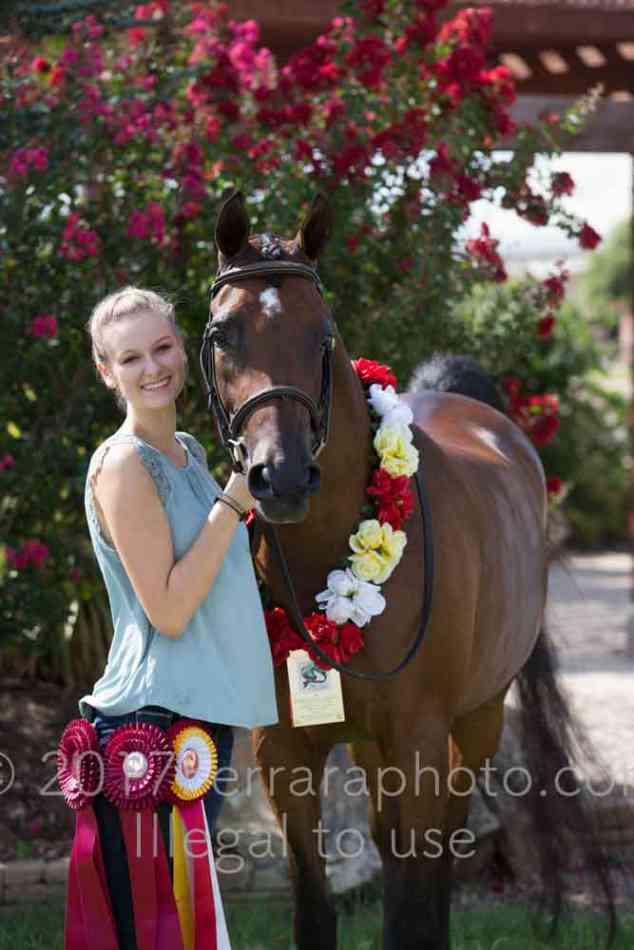 Proof Number 17YN_2517