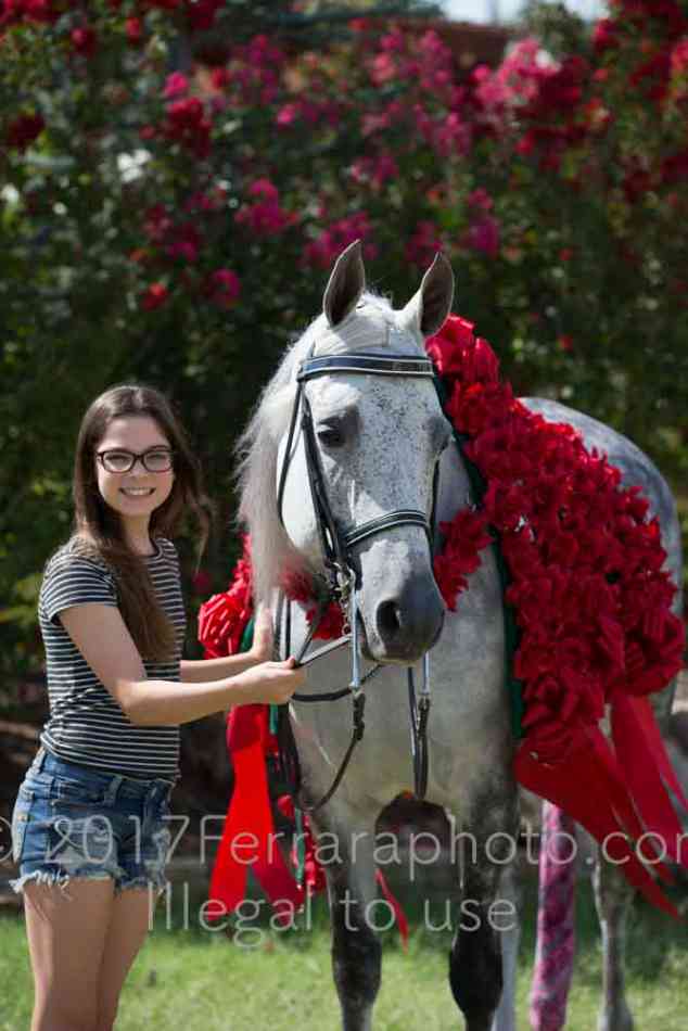 Proof Number 17YN_2531