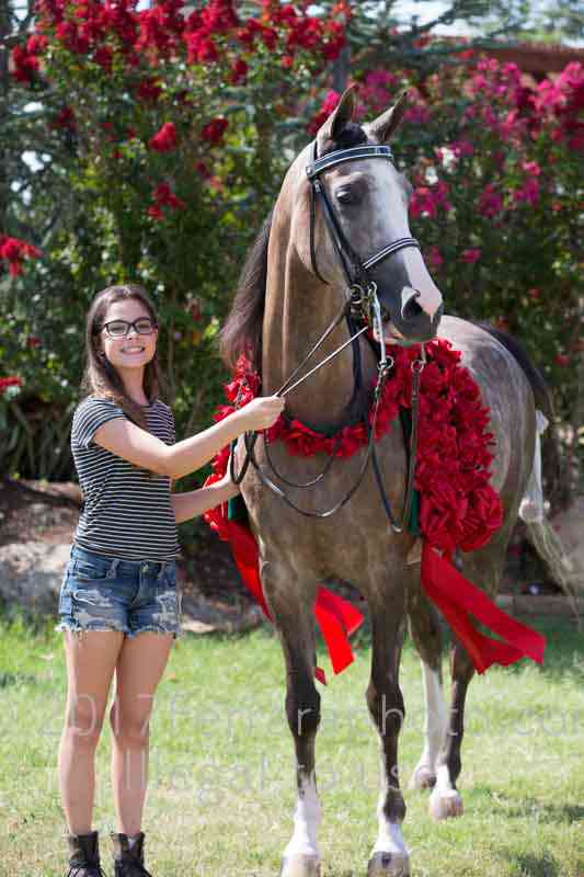 Proof Number 17YN_2555