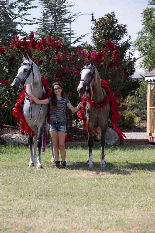 Proof Number 17YN_2583