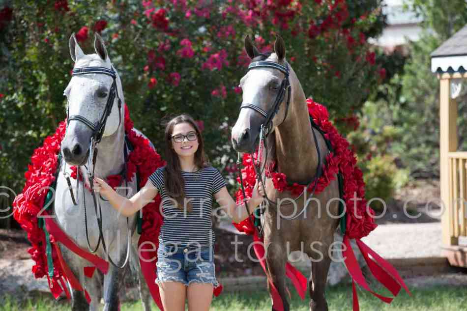 Proof Number 17YN_2585