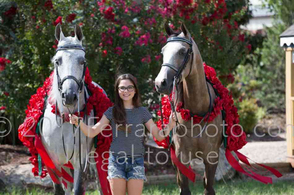 Proof Number 17YN_2590