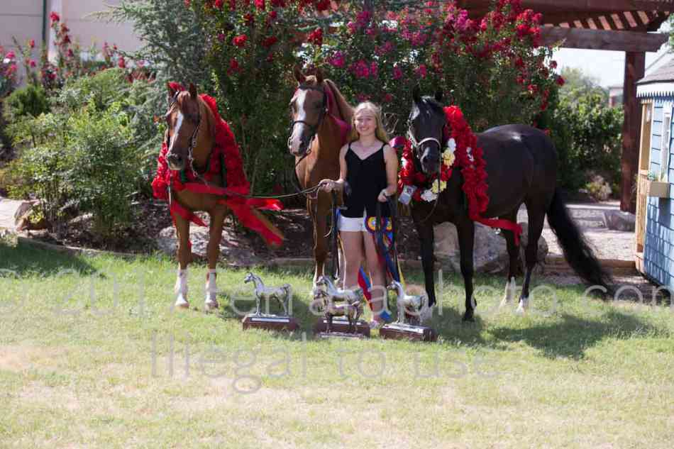 Proof Number 17YN_2598