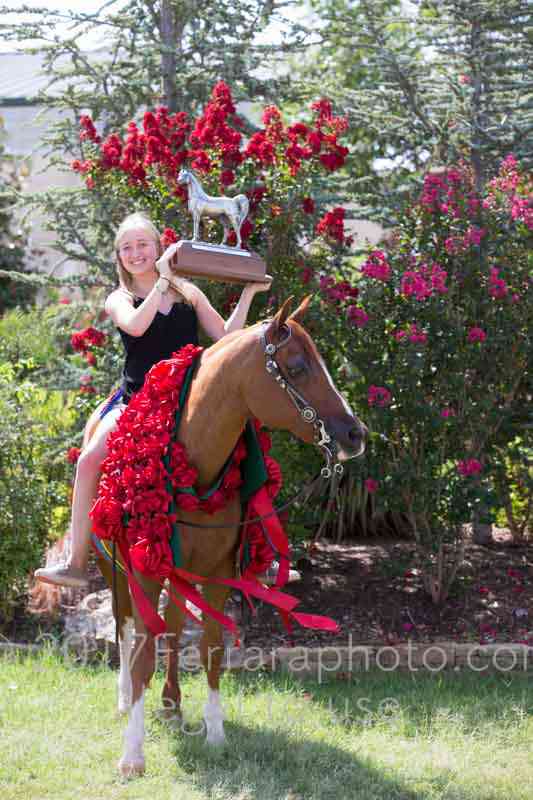 Proof Number 17YN_2637