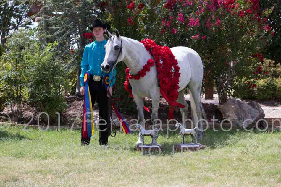 Proof Number 17YN_2667