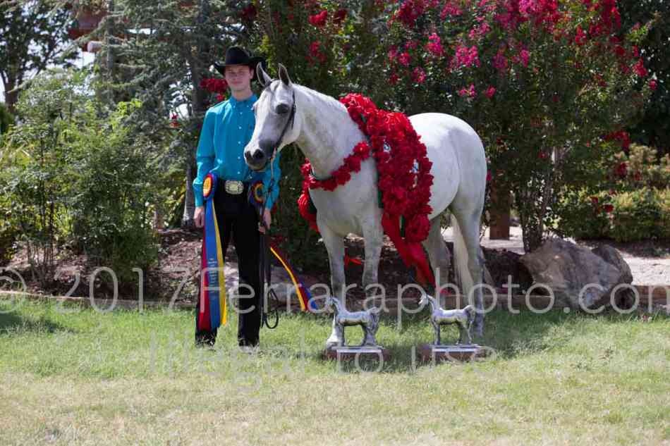 Proof Number 17YN_2668