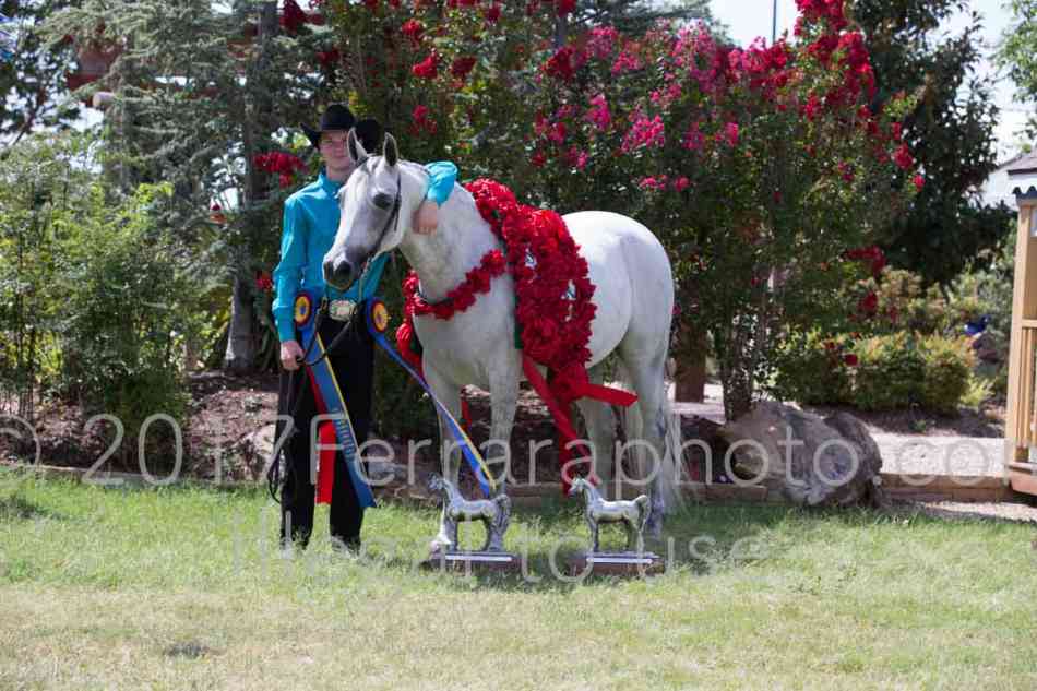 Proof Number 17YN_2671