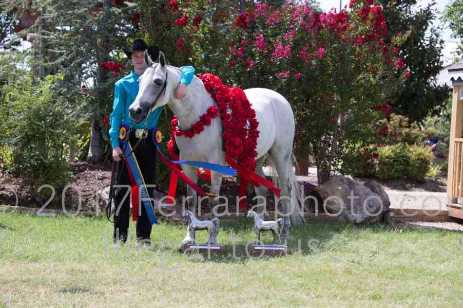 Proof Number 17YN_2673